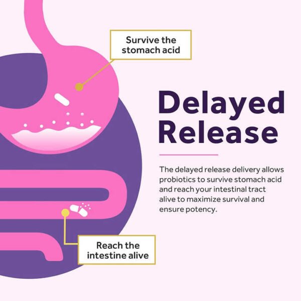 Cranberry Prebiotics Capsules for Women