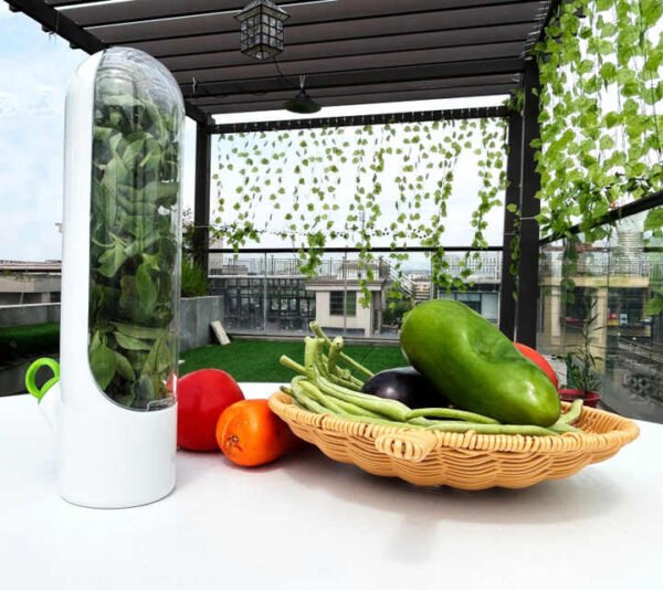 Vegetable Storage Containers with Water Base