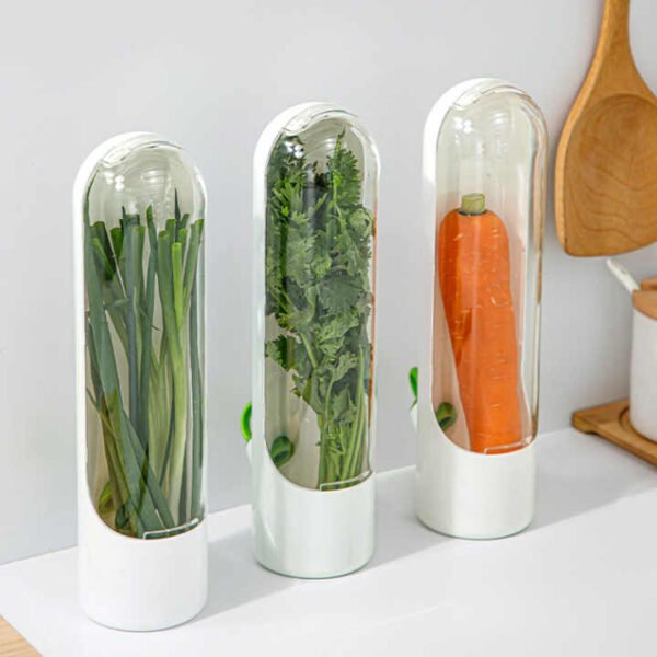 Vegetable Storage Containers with Water Base