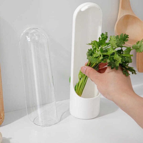 Vegetable Storage Containers with Water Base