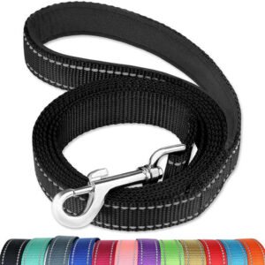 Premium Pet Night Reflection Dog Leash