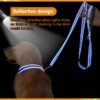 Hdf90dc36da27424ebb0c00631b984d020.jpg_720x720q50_800x800.jpg Premium Pet Night Reflection Dog Leash